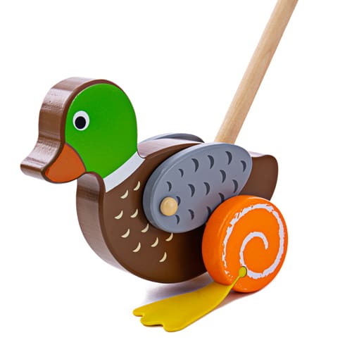 Duck Push Along - Bright Discovery Fun