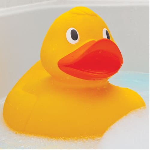 Giant Duck - Splash Play Ready