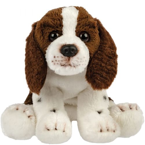 Springer spaniel - Soft Cuddle Friend